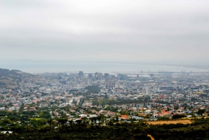 Cape Town: Halvdagstur i byen