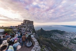 Cape Town: Halvdags byrundtur