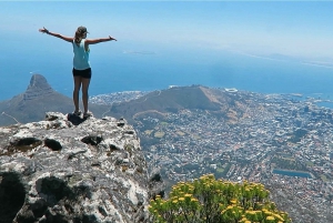 Cape Town: Halvdags byrundtur