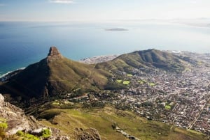 Cape Town: Half-Day City Tour