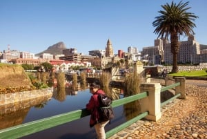 Kaapstad: stadsrondleiding van een halve dag