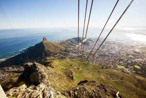 Kapstaden: Guidad halvdagstur