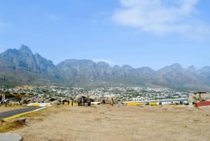 Cape Town: Halvdags byrundtur