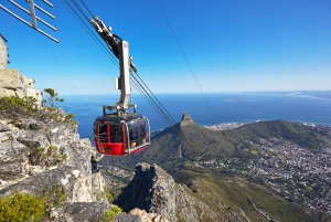 Cape Town: Halvdagstur i byen