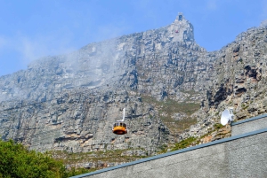 Cape Town: Halvdagstur i byen