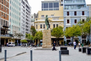 Cape Town: Halvdagstur i byen