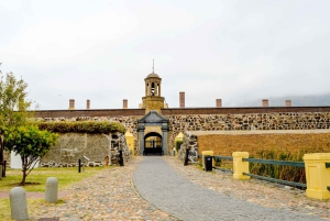 Cape Town: Halvdagstur i byen