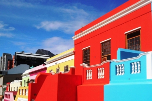 Cape Town: Halvdagstur i byen