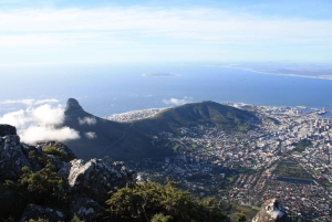 Cape Town: Halvdagstur i byen