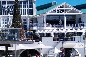 Cape Town: Halvdagstur i byen