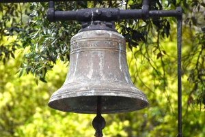 Cape Town: Halvdagstur i byen