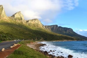 Cidade do Cabo: Passeio de bicicleta de meio dia 60 km