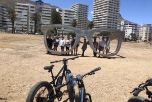 Kapstaden: halvdags stadsrundtur med e-bike