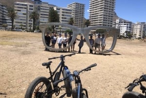 Cape Town: Half-Day e-Bike City Tour