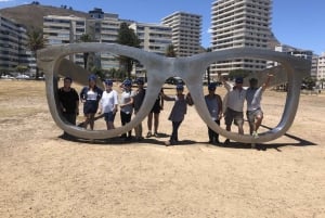 Cape Town: Half-Day e-Bike City Tour