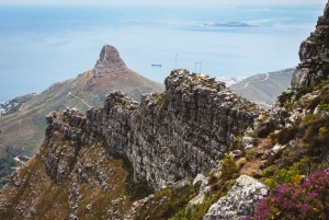 Cape Town: Half-Day India Venster Hike on Table Mountain