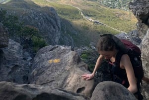 Kapstadt: Halbtägige Indien-Venster-Wanderung auf dem Tafelberg