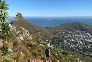 Cidade do Cabo: caminhada de meio dia na India Venster na Table Mountain