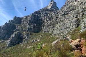 Città del Capo: escursione di mezza giornata in India Venster sulla Table Mountain
