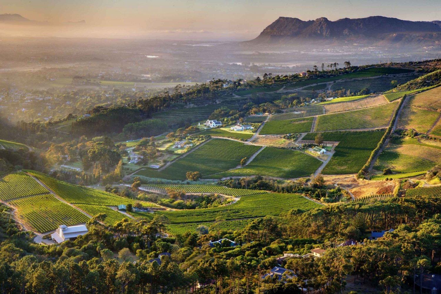 Kapstadt: Halbtägige private Weintour