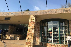 Cape Town: Half-Day Cape Peninsula Shairing Group Tour .