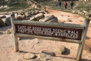 Cape Town: Half-Day Cape Peninsula Shairing Group Tour .