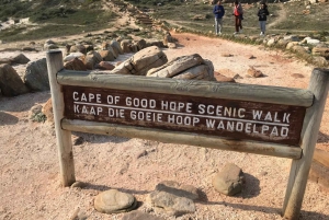 Cape Town: Half-Day Cape Peninsula Shairing Group Tour .
