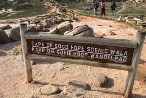 Cape Town: Half-Day Cape Peninsula Shairing Group Tour .