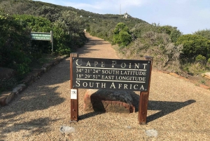 Cape Town: Half-Day Cape Peninsula Shairing Group Tour .
