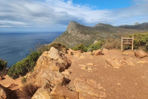 Cape Town: Half-Day Cape Peninsula Shairing Group Tour .