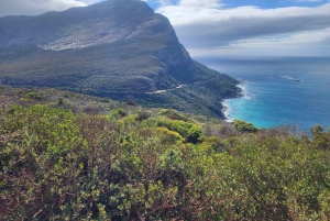 Cape Town: Half-Day Cape Peninsula Shairing Group Tour .