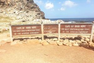 Cape Town: Half-Day Cape Peninsula Shairing Group Tour .