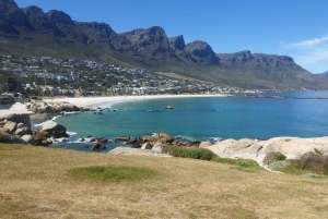 Cape Town: Half-Day Cape Peninsula Shairing Group Tour .