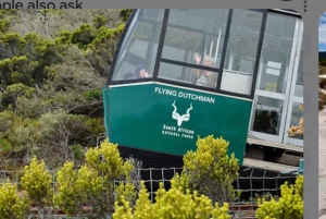 Cape Town: Half-Day Cape Peninsula Shairing Group Tour .