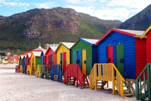 Cape Town: Half-Day Cape Peninsula Shairing Group Tour .