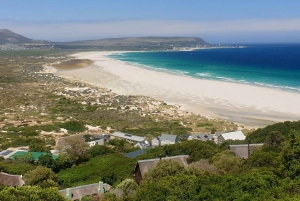 Cape Town: Half-Day Cape Peninsula Shairing Group Tour .