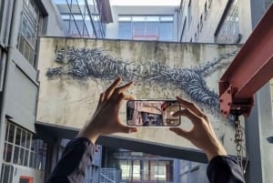 Kapstaden: Halvdagstur med gadekunst