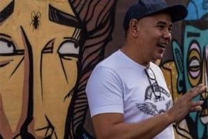 Kapstaden: Halvdagstur med gadekunst