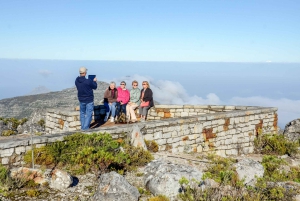 Cape Town: Half Day Table Mountain and Cape Town City Tour