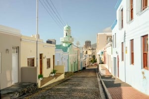 Cape Town: Half Day Table Mountain and Cape Town City Tour