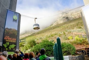 Cape Town: Half-Day Table Mountain and City Tour