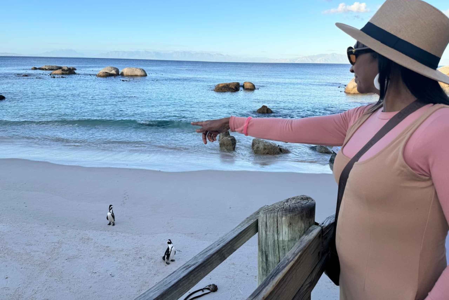Cape Town: Half-Day Table Mountain and Penguin Group Tour