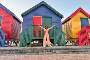 Cape Town: Half-Day Table Mountain and Penguin Group Tour