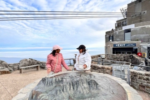 Cape Town: Half-Day Table Mountain and Penguin Group Tour