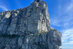 Cape Town: Half-day Table Mountain Hiking Private Tour