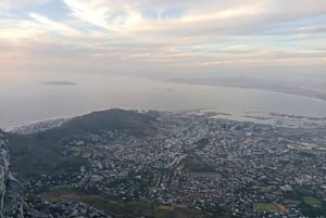 Cape Town: Half-day Table Mountain Hiking Private Tour