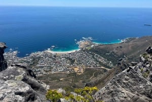 Cape Town: Half-day Table Mountain Hiking Private Tour