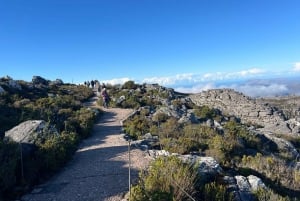 Cape Town: Half-day Table Mountain Hiking Private Tour