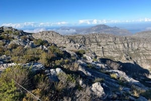 Cape Town: Half-day Table Mountain Hiking Private Tour