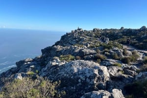 Cape Town: Half-day Table Mountain Hiking Private Tour